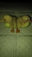 20170712_214920.jpg
