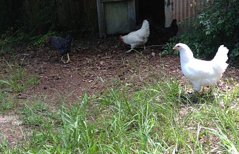 IMG_9202.JPG
