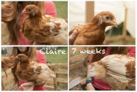 claire 7 wks.jpg claire 7 wks.jpg
