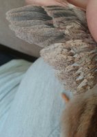 20170715_183639-1.jpg