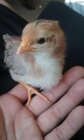 20170715_183523.jpg