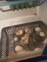 20170716_125505.jpg