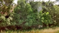 IMG_20170716_125553821_HDR.jpg