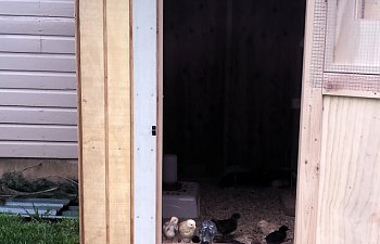 20170417_180854.jpg 20170417_180854.jpg