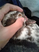 20170717_114006.jpg