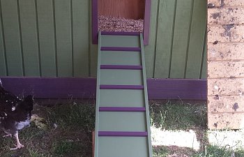 20170605_124656.jpg 20170605_124656.jpg