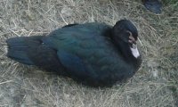 20170717_192907.jpg