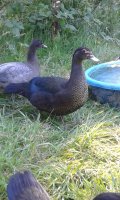 20170713_174643.jpg
