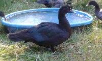 20170713_174748.jpg