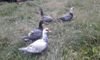 20170715_190512.jpg