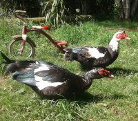 20170703_222046.jpg