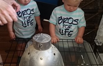 20170518_130548.jpg