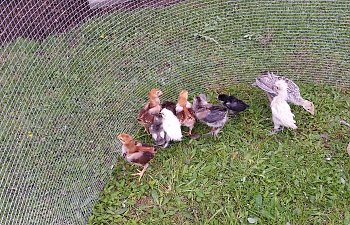 20170529_145825.jpg