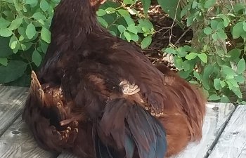 20170714_170211.jpg