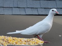 20170604_063041.jpg