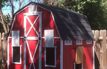 Gable roof coop