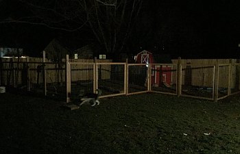 IMG_4704.JPG IMG_4704.JPG