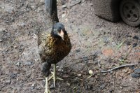 IMG_2986.JPG