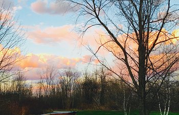 IMG_4448.jpg
