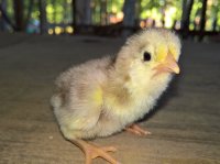 WP_20170627_07_35_08_Pro_LI (2).jpg