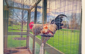 IMG_20170425_190559-EFFECTS.jpg