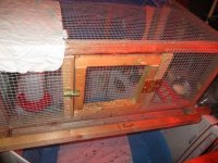 IMG_1922.JPG IMG_1922.JPG