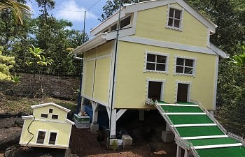 IMG_3031.JPG IMG_3031.JPG