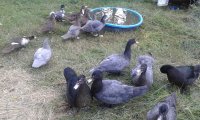 20170715_184456.jpg