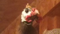 20170709_210224.jpg