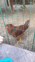 20170720_180150.jpg