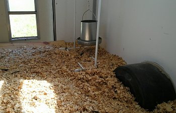 20170523_101256.jpg