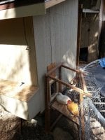 IMG_20170720_162823.jpg