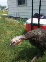 20170721_131347.jpg