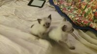 20170629_221758.jpg
