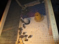 IMG_1927.JPG
