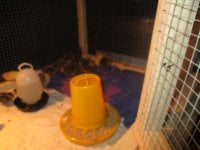 IMG_1929.JPG