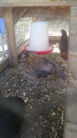 20170722_075313.jpg