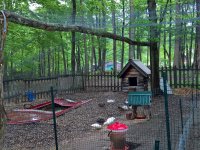 WP_20170511_07_44_45_Pro_LI.jpg