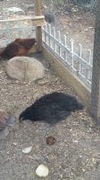 20170722_142646.jpg