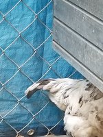 20170722_152518.jpg