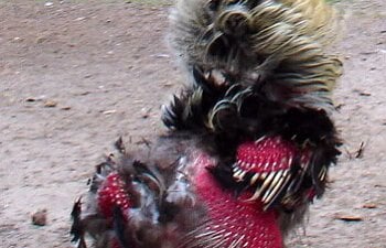 900x900px-LL-822b1d01_berrymolting.jpeg 900x900px-LL-822b1d01_berrymolting.jpeg