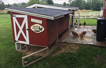 IMG_0285.JPG