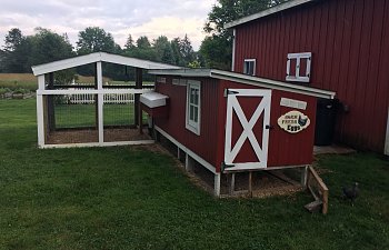 IMG_0289.JPG