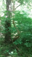 20170610_115045.jpg