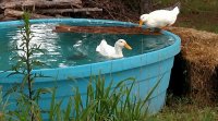 IMG_20170527_102317.jpg