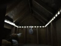 IMG_2847.JPG