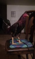 20170708_205134.jpg