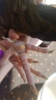 Resized_20170718_165239.jpeg