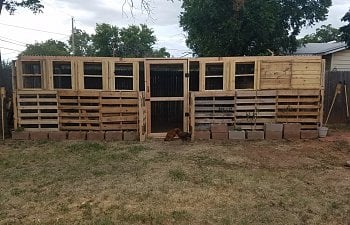 Build a coop from pallets