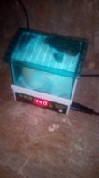 IMG_20170724_061529.jpg